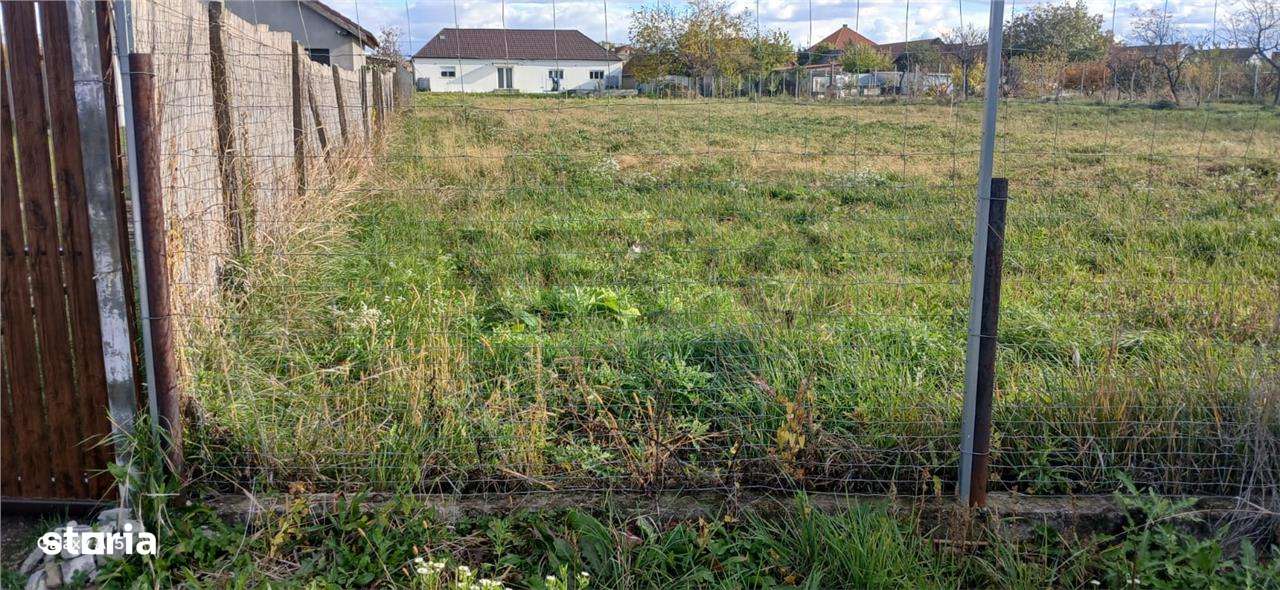 Teren intravilan Biharia - Imagine principală: 3/3