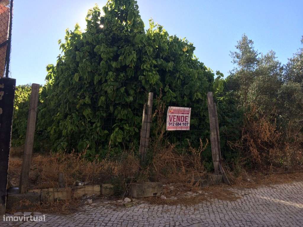MONTIJO - TERRENO P/ CONSTRUÇÃO 2.300M2 - Grande imagem: 2/5