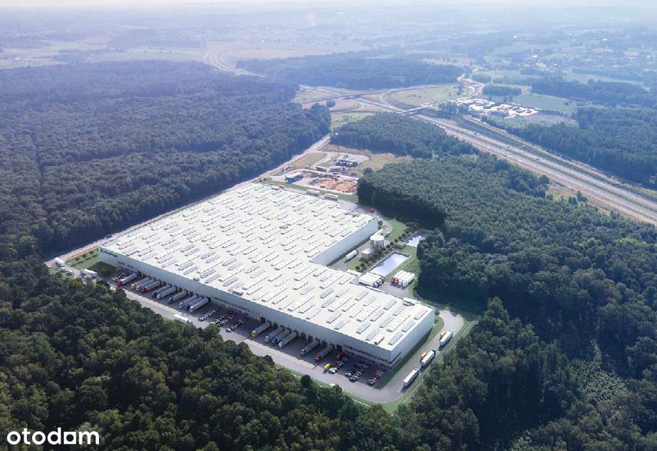 Nowoczesny magazyn 3500 MKW, Gorzyce, bez prowizji - Pełny obrazek: 1/3