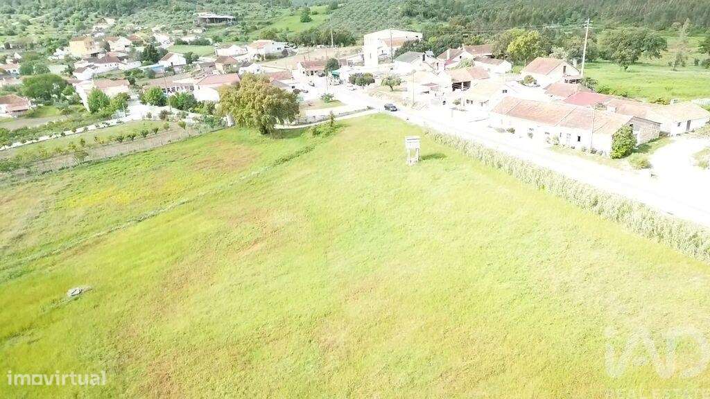 Terreno Agrícola em Alcanede - Grande imagem: 4/32