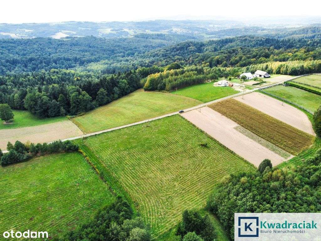 Huta Gogołowska – działki z widokiem, Wz, mediami.-8