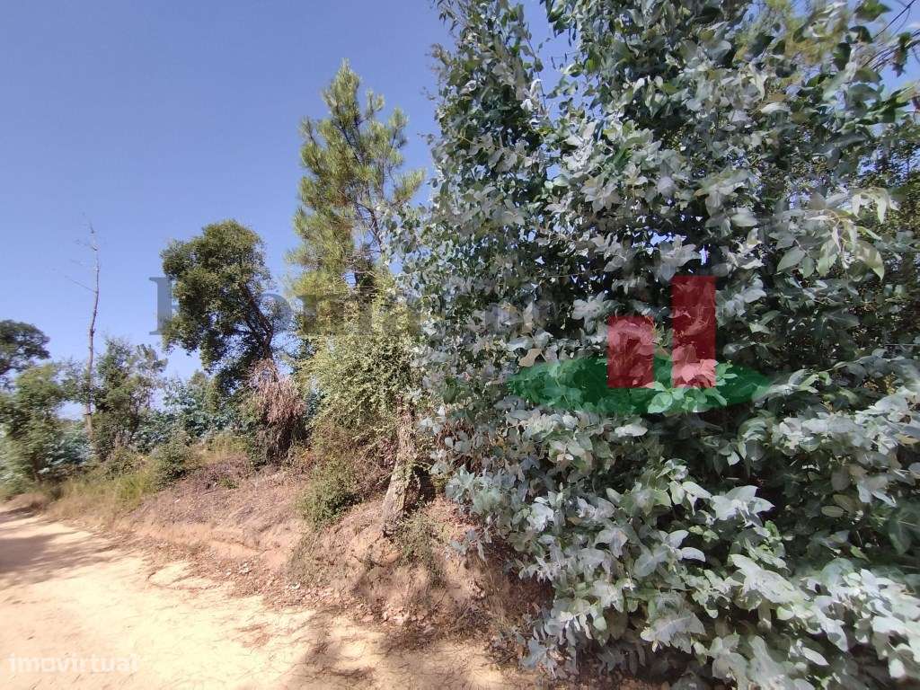 Terreno com 14120m2 Vale Piloto/Rio Maior ***RIOMAGIC*** - Grande imagem: 2/3