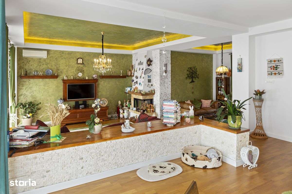 Domnesti Clinceni Raul Sabar Vila nobila/superba mobilata utilata - Imagine principală: 4/20