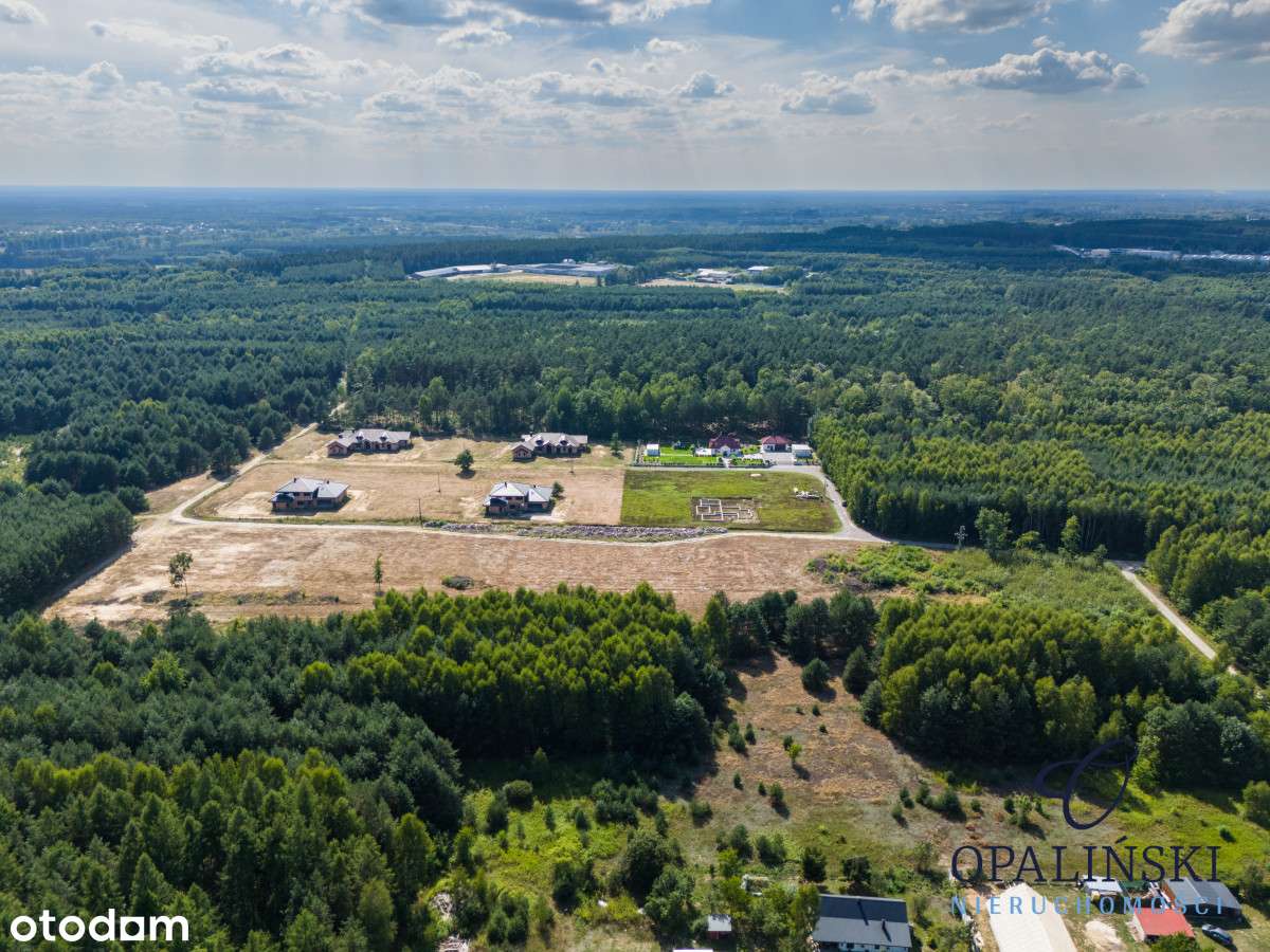 Otoczenie lasu | Cicha okolica | Mpzp | Inwestycja-9
