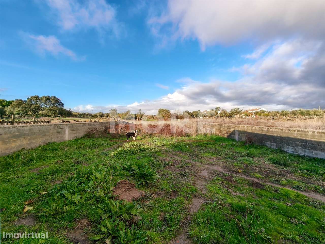 Quinta a 5 km de Évora - Potencial e Tradição!-21