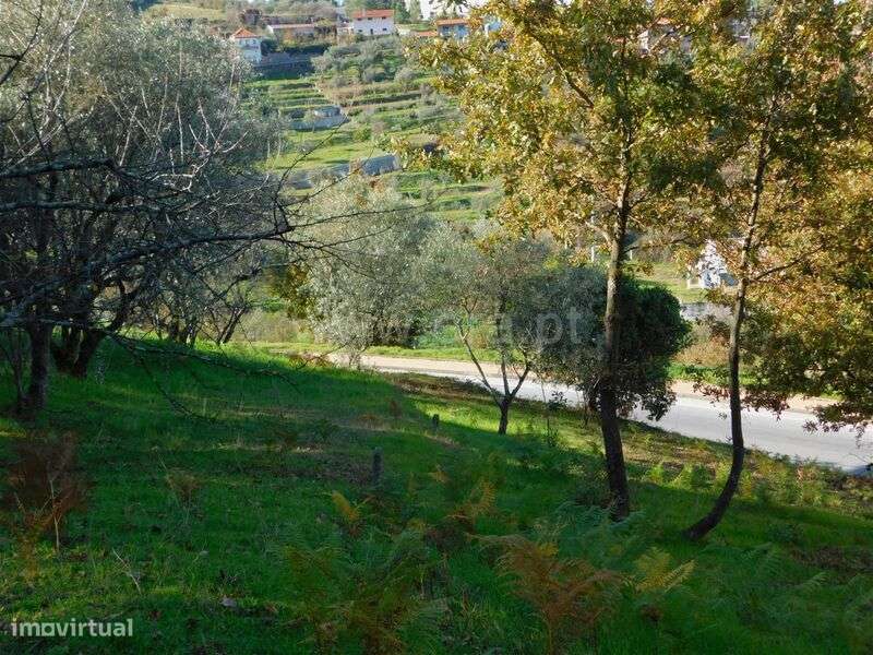 Terreno / Seia, Seia, São Romão e Lapa dos Dinheiros - Grande imagem: 3/11