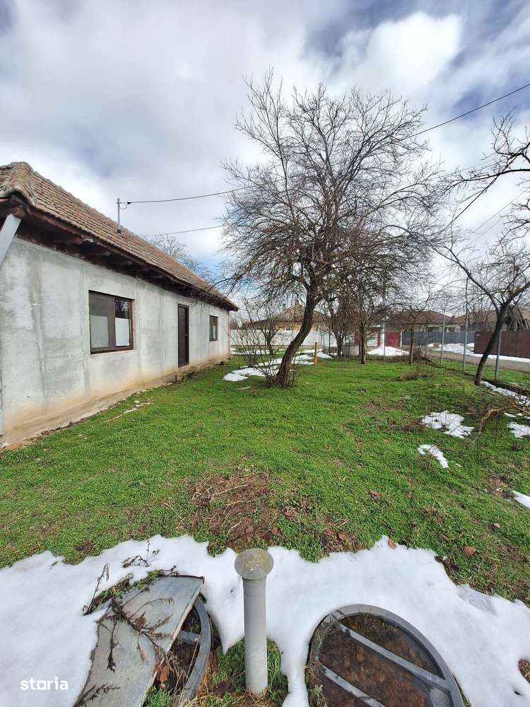Casă 3 Camere Aprozi, 2420 mp Teren, Grădină Eco, Solar, Anexe-4