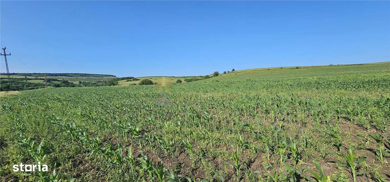 TEREN INTRAVILAN 5800 MP SUCEAGU - Imagine principală: 1/4