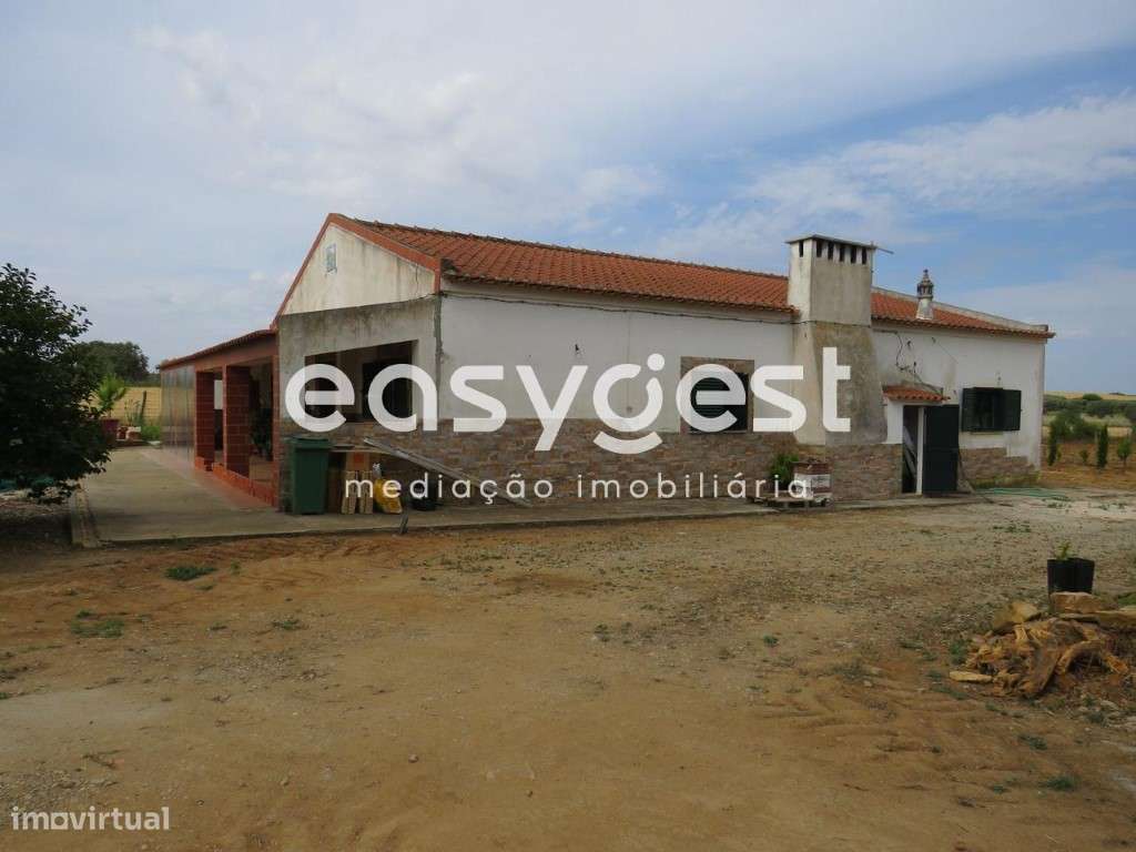 Quinta T3 com 15.240m2 localizada na freguesia de São Matias - Grande imagem: 1/40