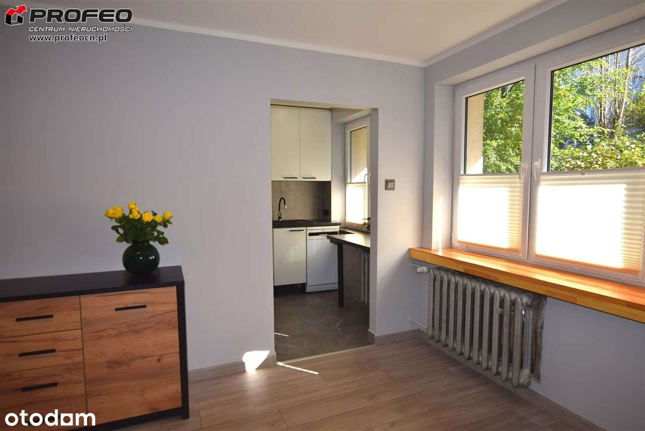 Mieszkanie na wynajem, Bielsko-Biała, 1 pokój - Pełny obrazek: 5/13