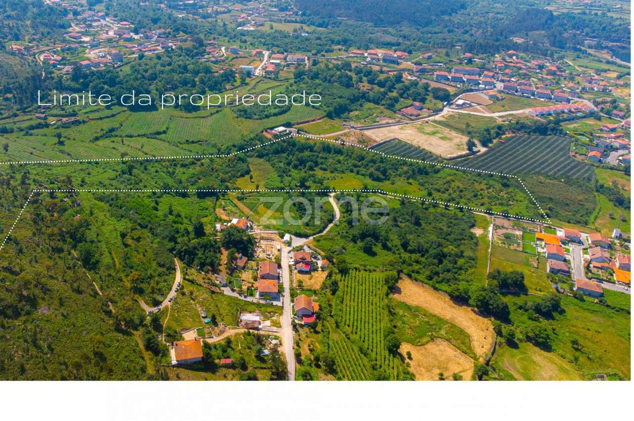 Quinta com Casa e Terreno de 18 hectares em Vila Boa do Bispo - Grande imagem: 5/20