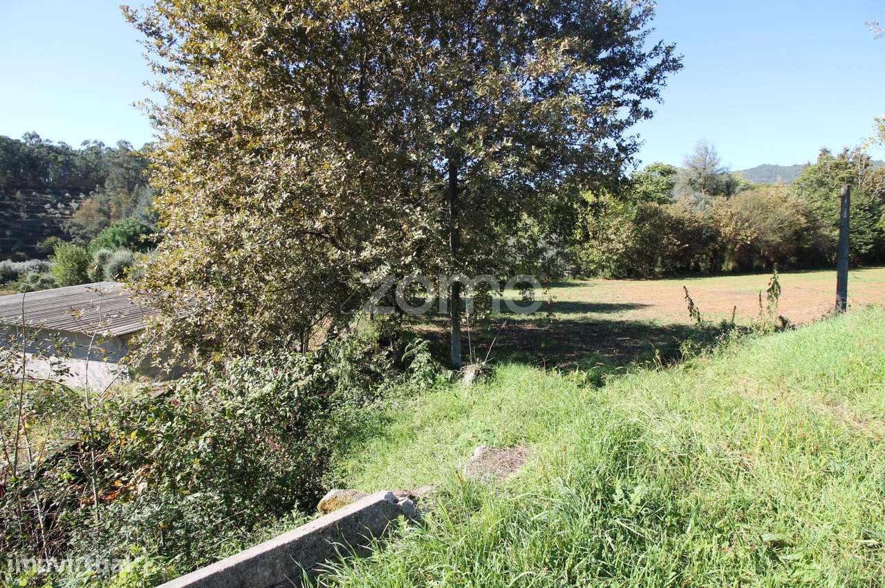 Terreno Rústico em Veigas, Goães, Amares - Grande imagem: 5/24