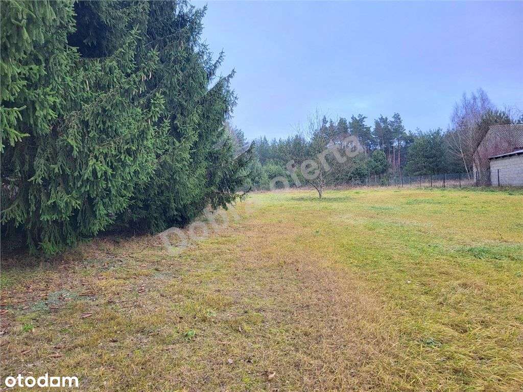 Duża piękna działka obok Kałuszyna-2