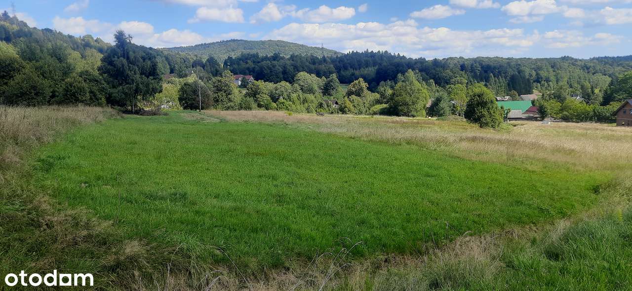 Słoneczna działka przy lesie, budowlana, 8 ar-5