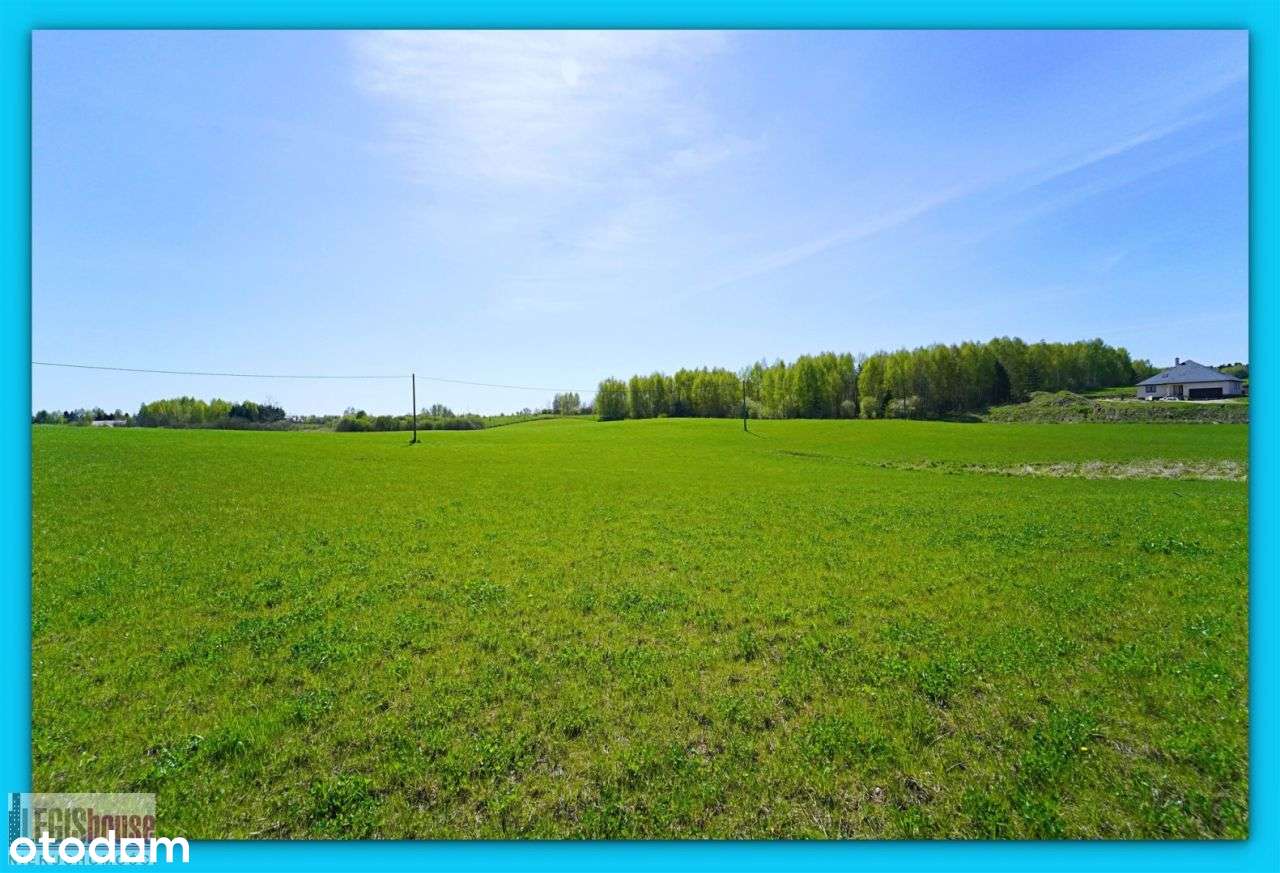 Różnowo* 3004 m2* możliwość podziału na 2 działki - Pełny obrazek: 5/15