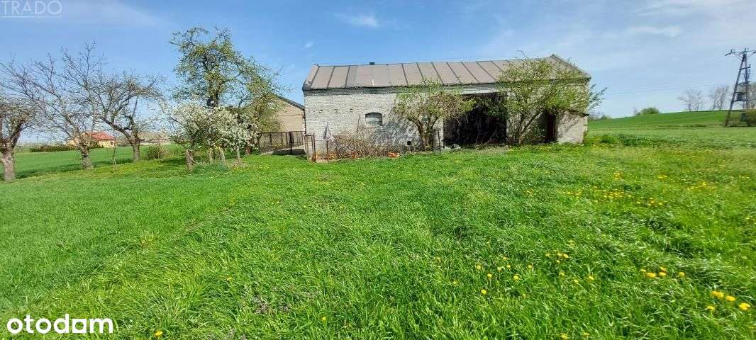 Gospodarstwo 5,72 ha Góraj gm. Babiak-6