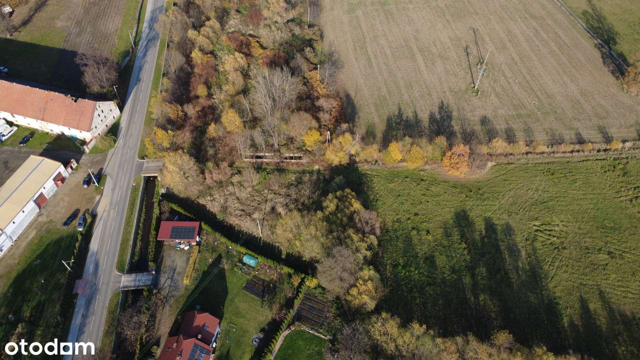 Działka budowlana przy głównej drodze Pieszyce | Prywatność-5