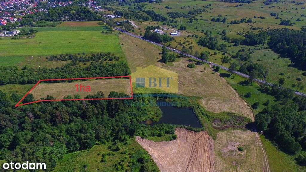 Działka inwestycyjna 1ha przy drodze krajowej nr11 - Pełny obrazek: 5/7