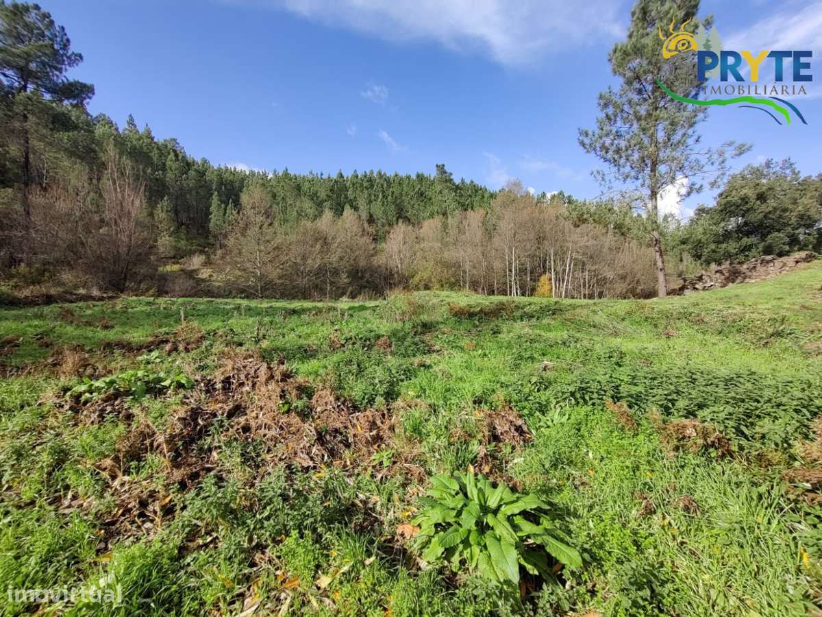 Ruína a confinar com Ribeira-18