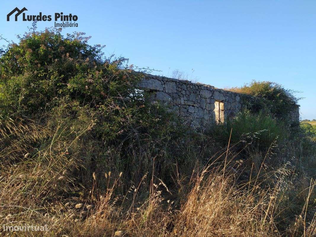 Quinta  em Castelo Branco - Grande imagem: 2/17