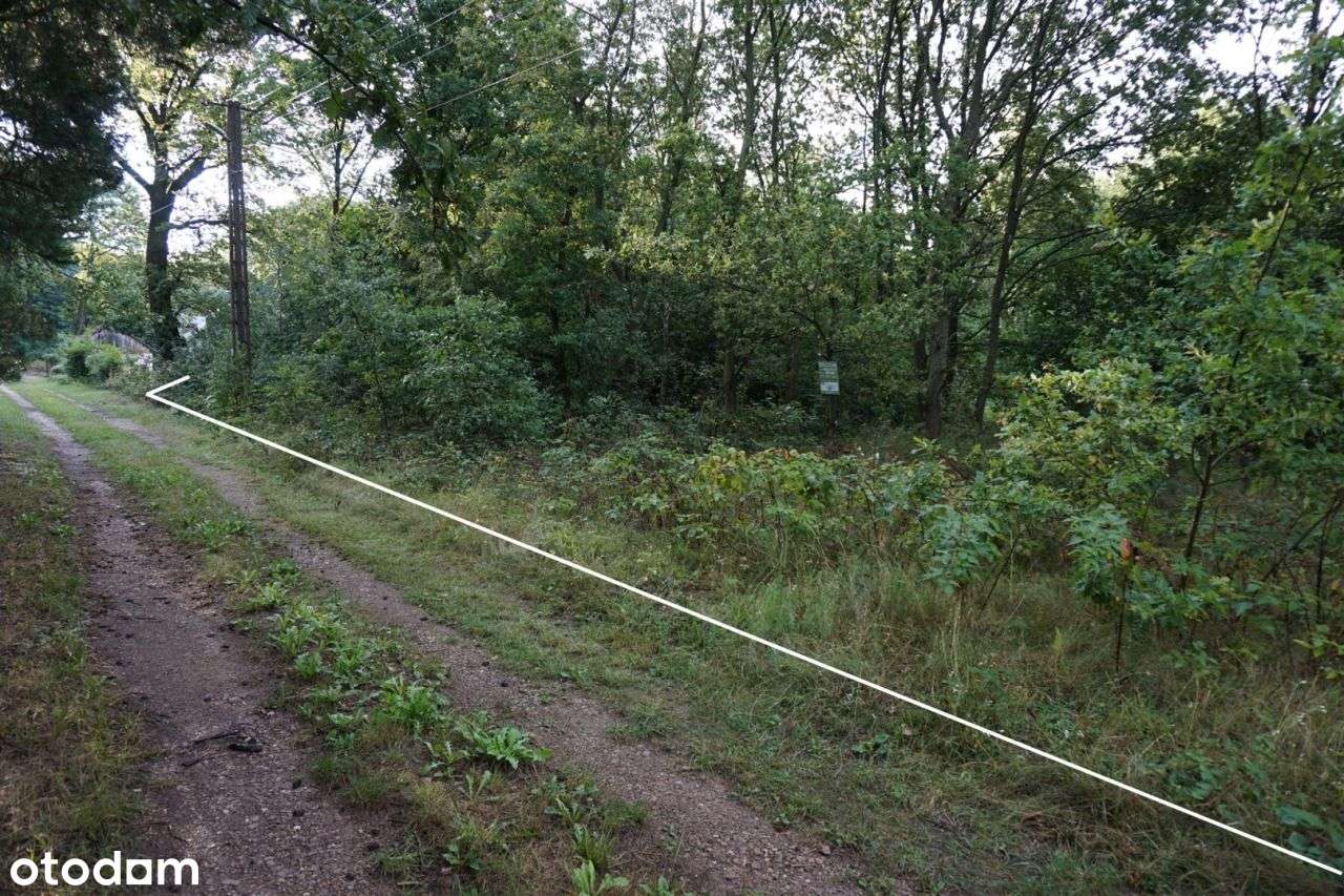 Działka 1596 m² na skraju lasu, Sobień, Białaczów-7