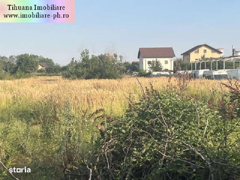 Teren de vanzare - Blejoi-(sat Ploiestiori)-1