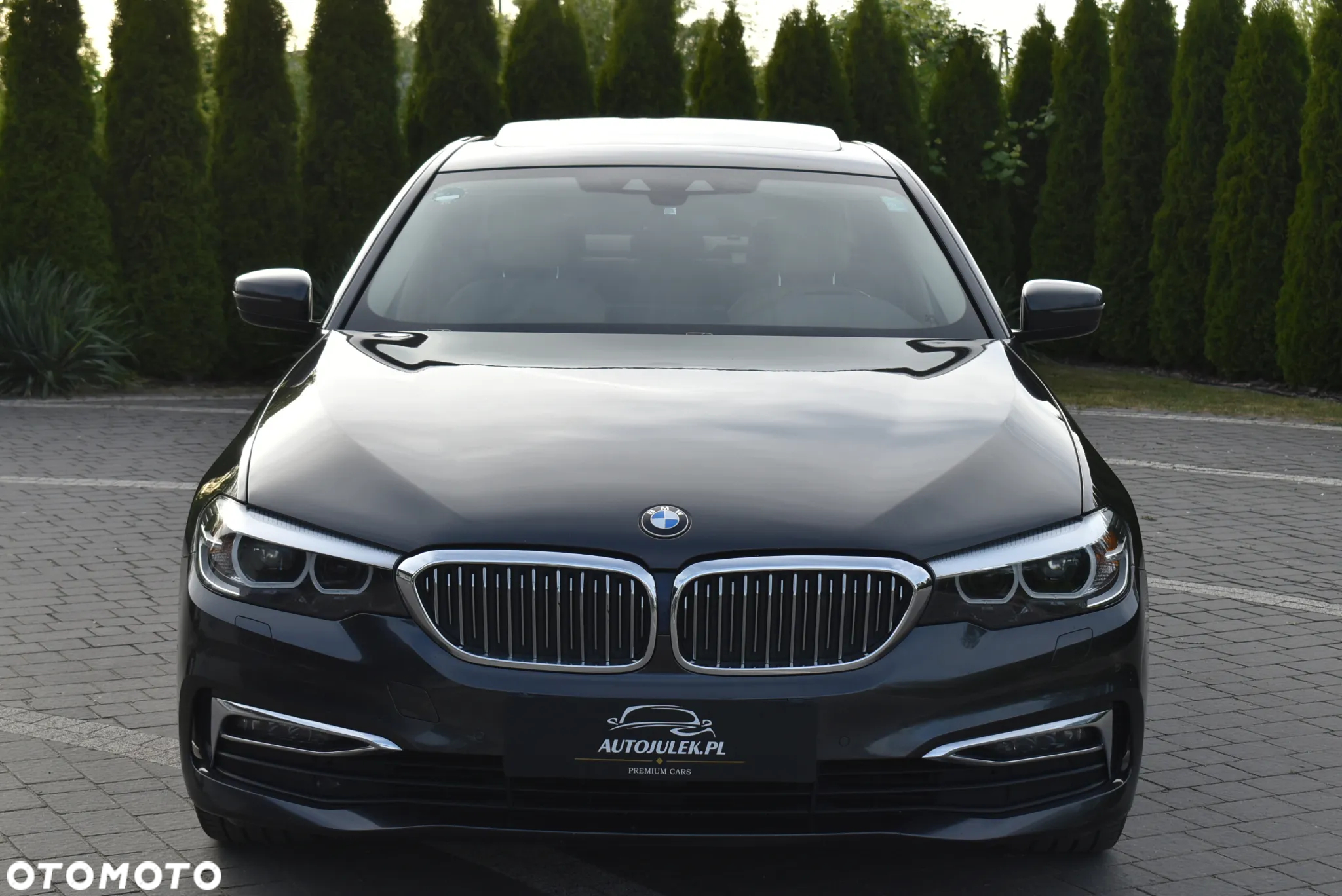 BMW Seria 5 520d xDrive Luxury Line - 2