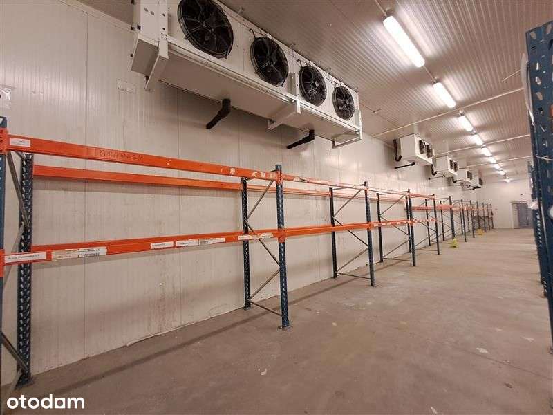 Magazyn z chłodniami w pobliżu autostrady A4.-6