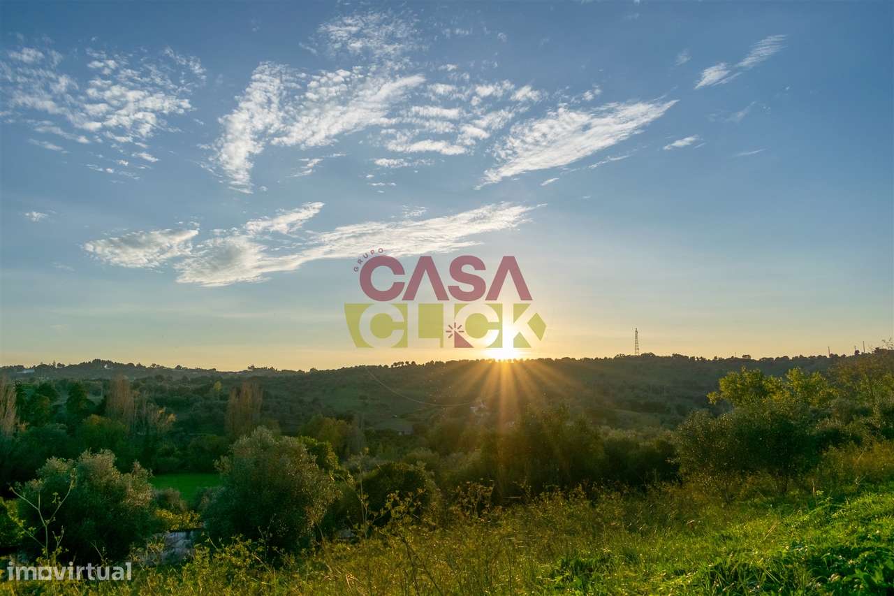 Lote de Terreno T3 Venda em Torres Novas (São Pedro), Lapas e Ribeira-19