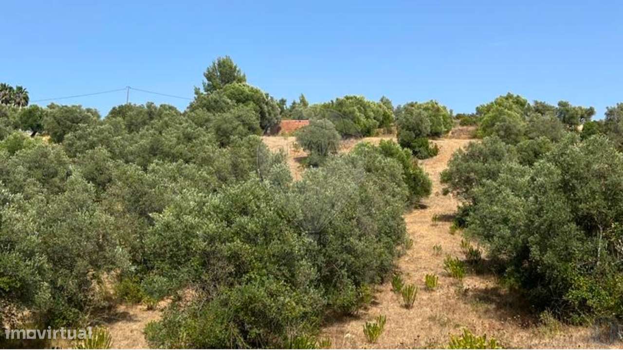 Terreno  para venda - Grande imagem: 3/17