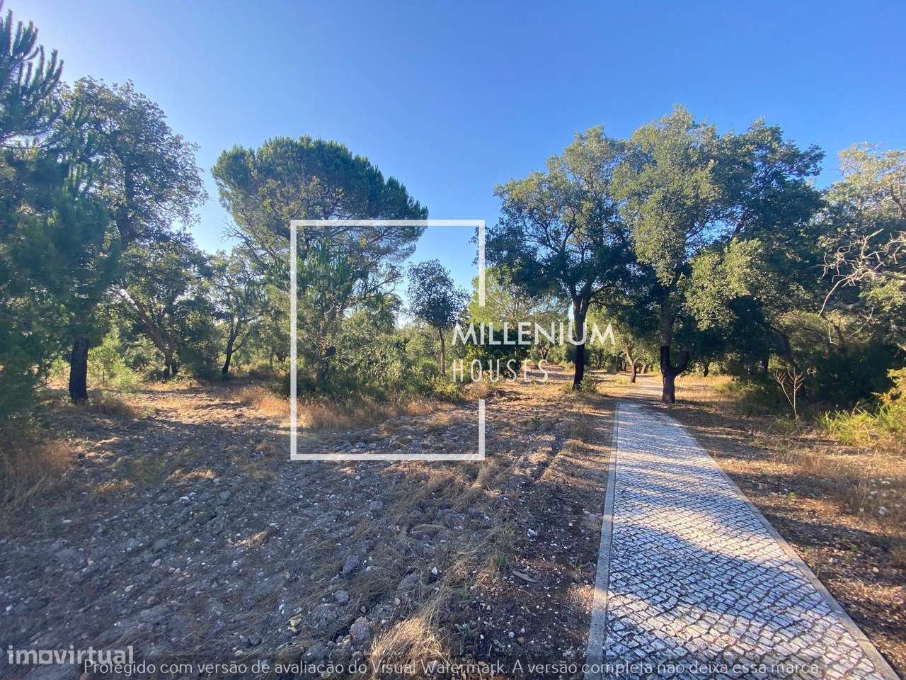 Terreno Urbano | 1. ª LINHA GOLFE | Vila Nova de Santo Estêvão-12