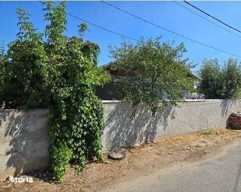 Casa si teren Vidra cota parte 1/4; ID: R2800897-2