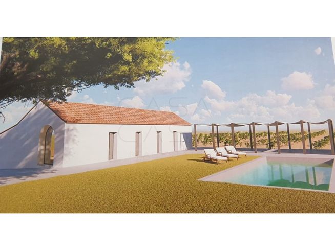 Herdade de 28.000m2 com vinha moscatel e habitações-28