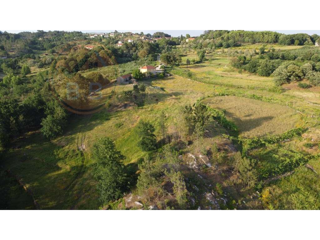 Quinta Rural em Leiradas, Rio Douro, Cabeceiras de Basto-47