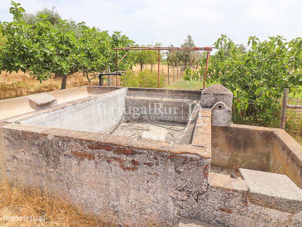 Encantadora quintinha alentejana-7