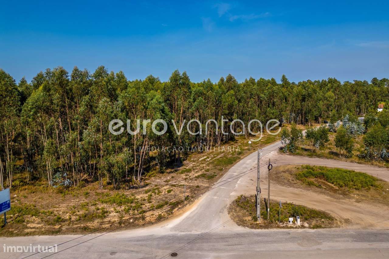 Terreno Industrial em Jardoeira - Batalha - Grande imagem: 4/25