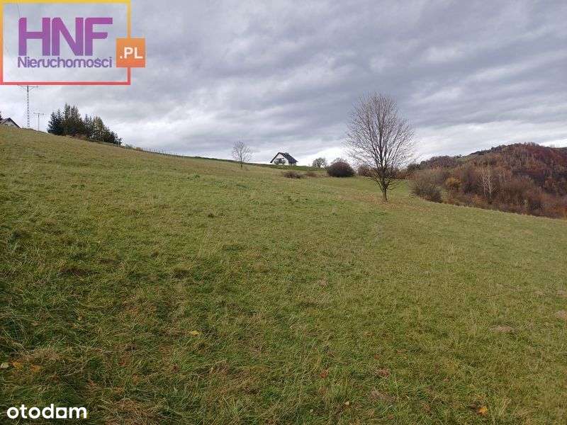 Działka rolno-leśna Rytro 1,17ha Połom Niżna - Pełny obrazek: 5/16