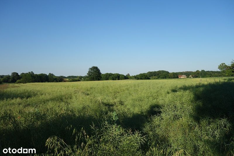 Oleśnica / Okolice / Budowlana