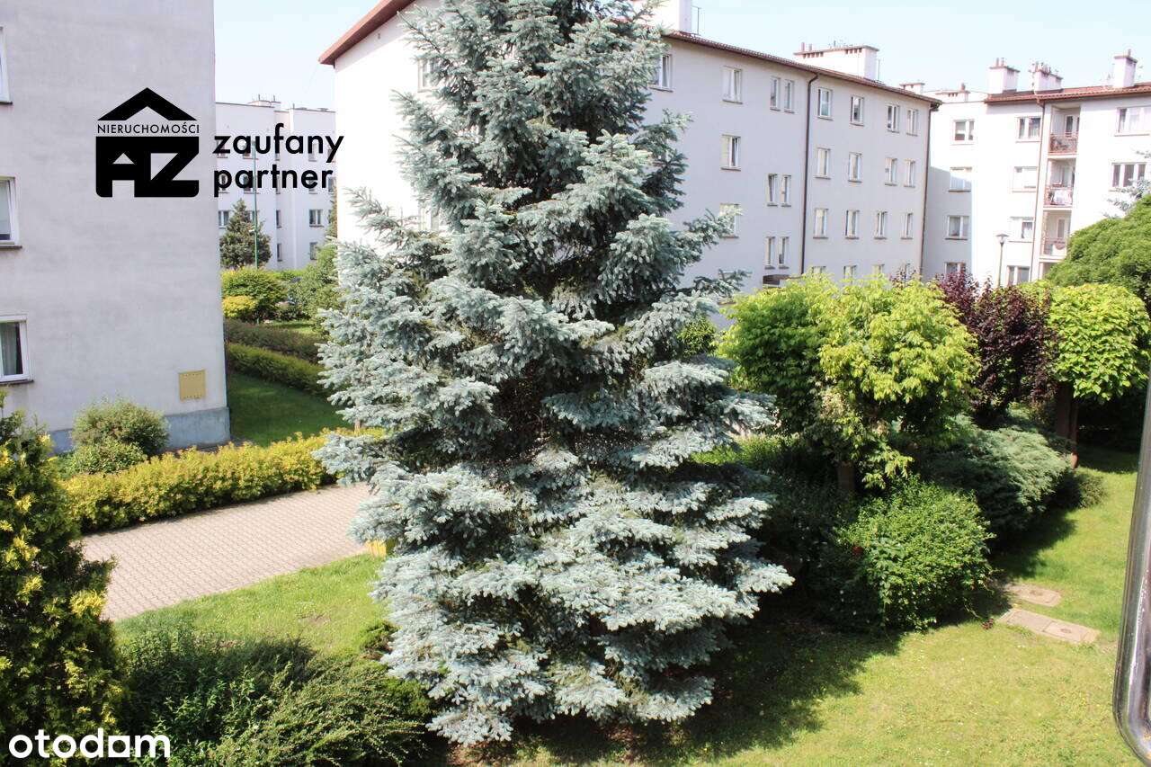 Mieszkanie 3 pokojowe - Pełny obrazek: 5/8