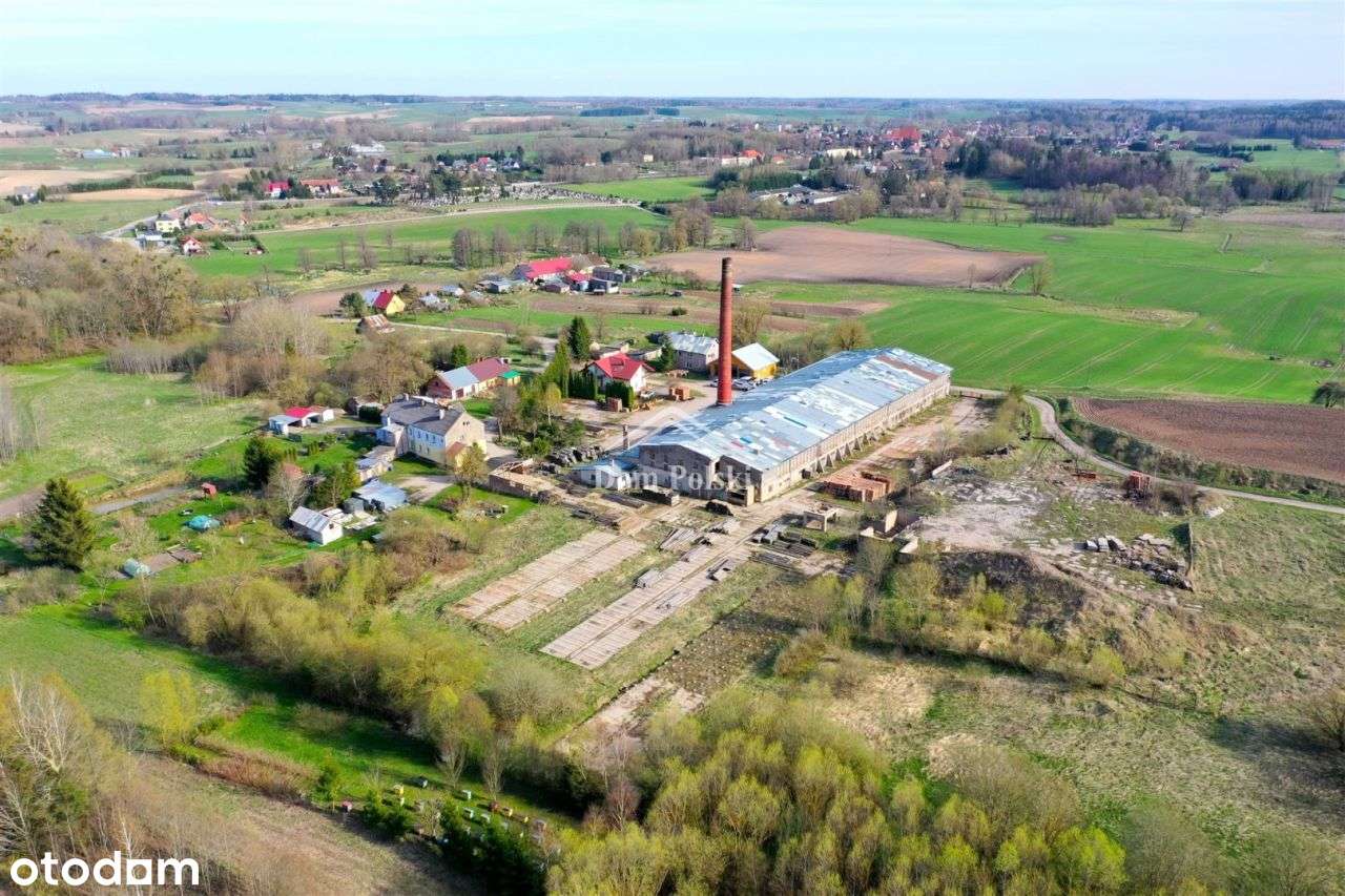 Obiekt cegielni, 2,56 ha, Kowale Oleckie - Pełny obrazek: 4/11