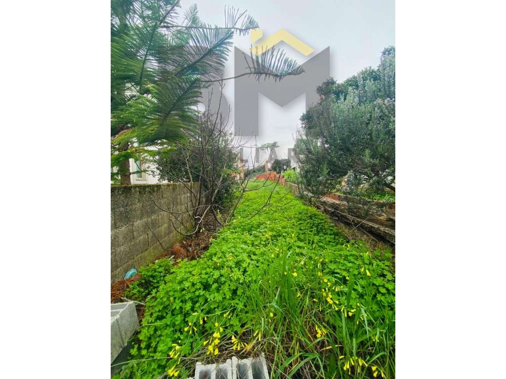 Moradia em Xisto Renovada - Aldeia da Mata, Castelo Branco - Grande imagem: 5/6