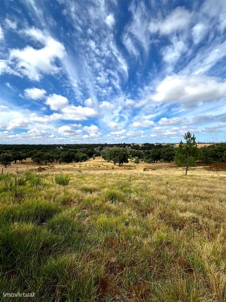Quinta >=T10 Venda em Cortiçadas de Lavre e Lavre,Montemor-o-Novo-44