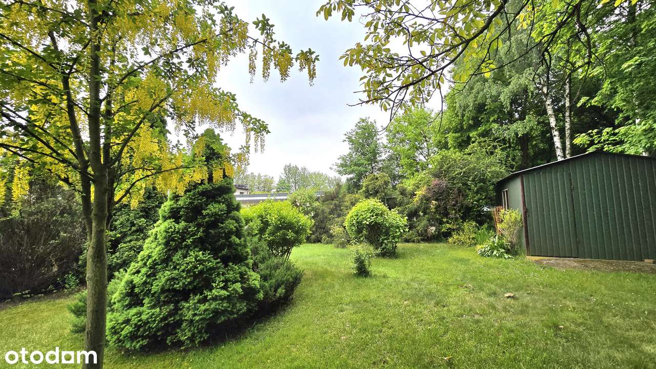 Przestronny dom, dwa odrębne lokale, ładna i duża działka!-3