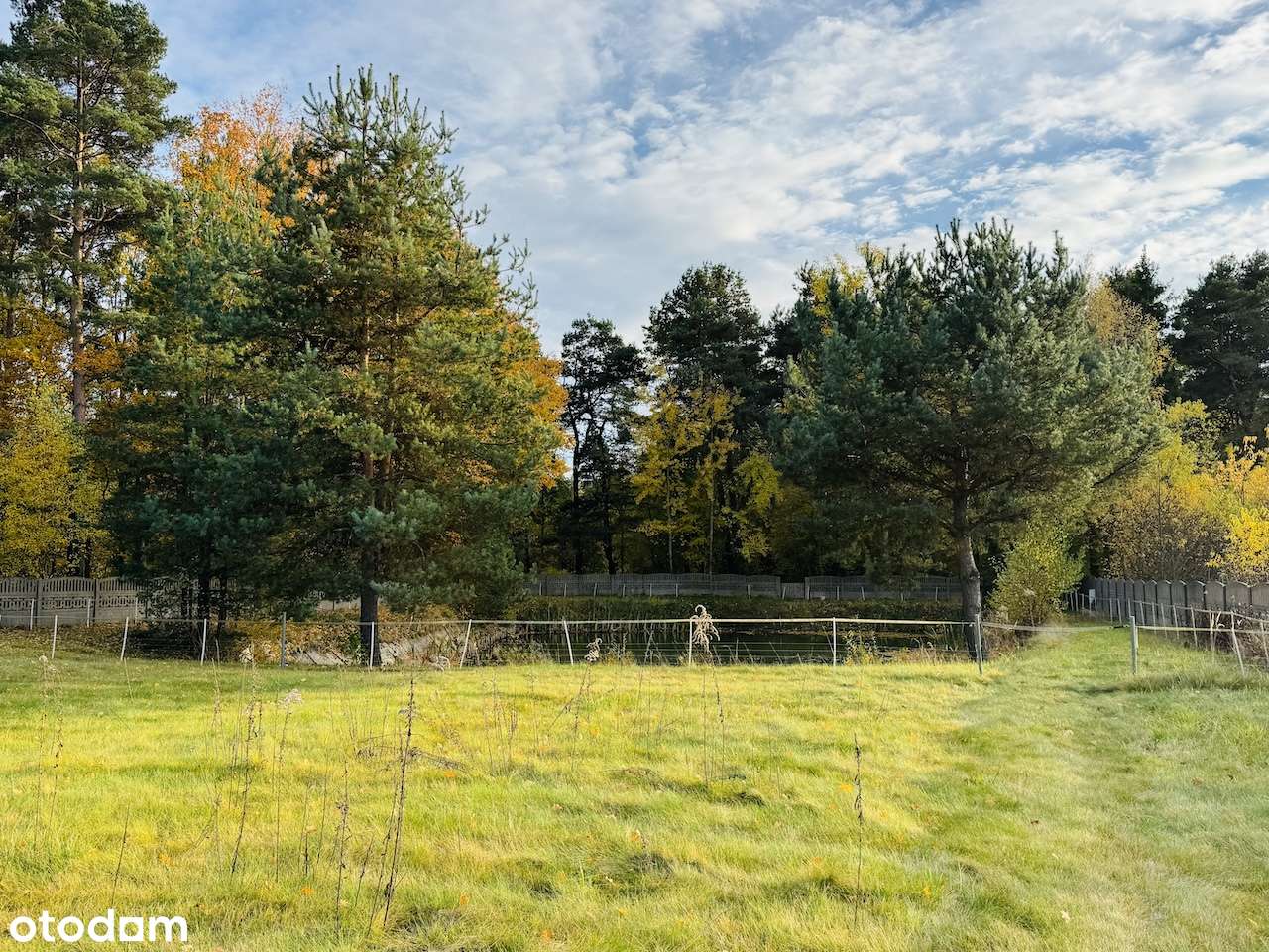 Dom z potencjałem-projekt, dużą działką ze stawem przy lesie-16