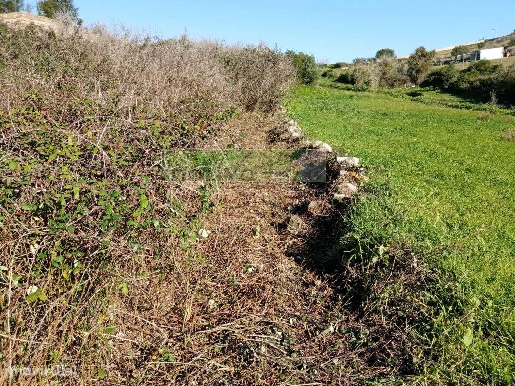 Terreno Rústico em Cabrela com 280 m² em Plena Natureza, Sintra - Grande imagem: 5/10