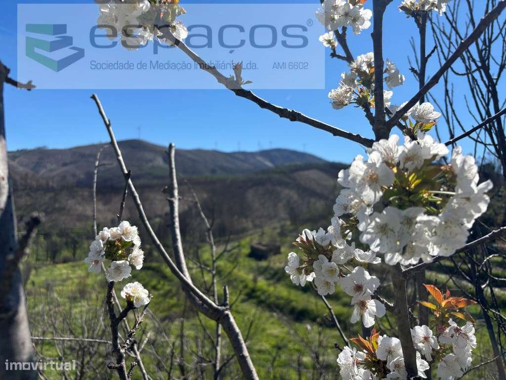 Terreno - Grande imagem: 5/25