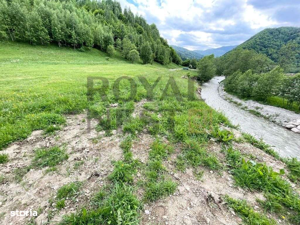 COMISION 0%! Teren superb la Plaiul Foii, pe malul Barsei-5