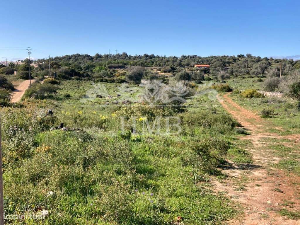 Terreno Rústico com 20701 m2 Próximo à Vila de Mexilhoeira - Grande imagem: 5/15