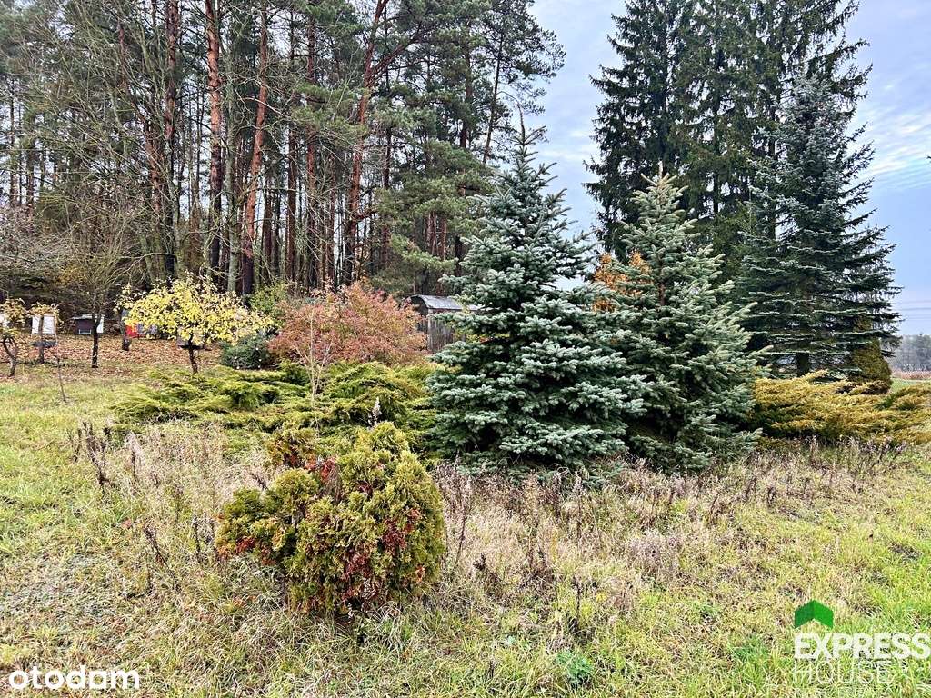 Atrakcyjna działka 3754m2 Juchnowiec Kościelny - Pełny obrazek: 4/10