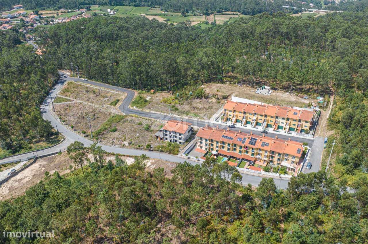 Lote de terreno nº35, em Chão de São Marcos Lugar de Fajões - Grande imagem: 5/19